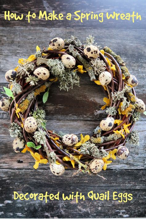 Completed homemade spring wreath consisting of a willow base decorated with forsythia flowers, lichen and blown quail eggs Diy Easter Egg Wreath, Easter Egg Wreath Diy, Egg Wreath, Shell Wreath, Easter Egg Wreath, Easter Eggs Diy, Quail Eggs, Egg Crafts, Spring Door