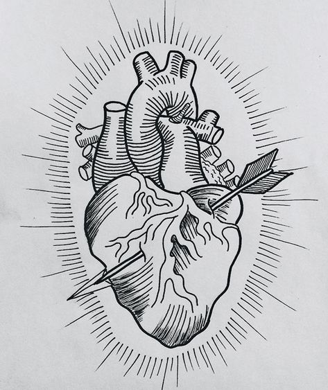 Arrow Through Heart Drawing, Arrow Heart Drawing, Heart With Arrow Drawing, Yarn Jacket, Arrow Through Heart, Feather Sketch, Arrow Heart, Arrow Art, Arrow Drawing