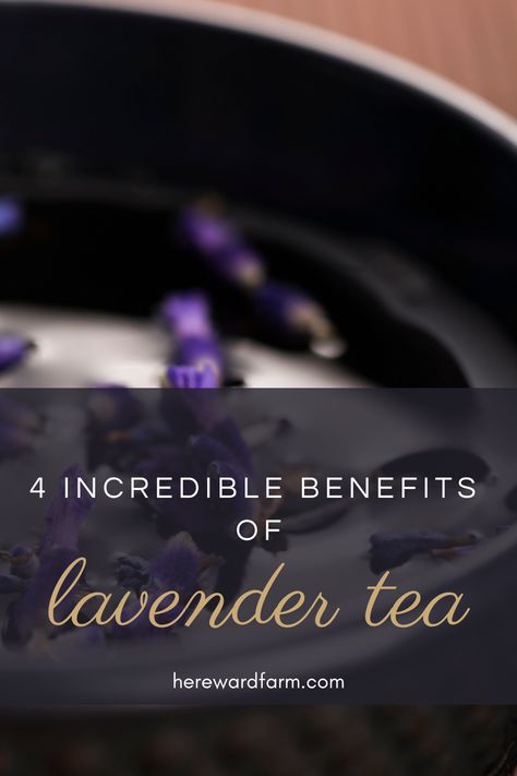 Lavender tea is a soothing beverage. With its delicate scent and pleasant taste, it's no wonder why lavender tea has become increasingly popular in recent years. The unique healing properties of this herbal tea have made it a go-to drink for people looking to improve their health and well-being. This article will explore the incredible benefits of drinking Lavender tea and the available types. Lavender Benefits Herbs, Benefits Of Lavender Tea, Tea Lavender, Benefits Of Lavender Plants, Lavender Tea Benefits, Lavender Health Benefits, Tea For Digestion, Lavender Benefits, Lavender Tea