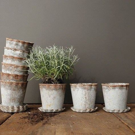 Zinc Planters, Herb Garden In Kitchen, Planter Table, Herb Pots, Small Potted Plants, Metal Planters, Antique Farmhouse, Vintage Farmhouse, Ceramic Planters