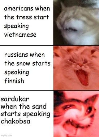 Dune Book, 2020 Memes, R Memes, Popular Memes, Cat Memes, The Snow, Dankest Memes, Really Funny, Anime Funny