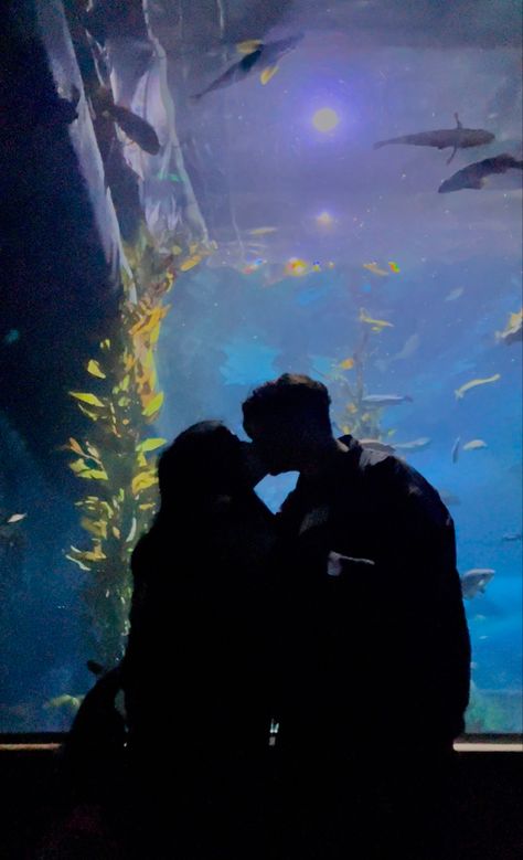 Aquarium date couple picture ideas 🐟🐠 San Francisco #aquarium #aquariumaesthetic #aquariumideas #aquariumwater #aquariumdate #aquariumdateaesthetic #aquariumpictures #aquariumpicturesideas couples goals #coupleportrait #coupleromantic  #sanfrancisco #bayarea  #pictureideas #couple aesthetic #poses  #unique Aquarium Date, Couple Picture Ideas, Date Couple, Aquarium Pictures, Dream Dates, Aesthetic Poses, Georgia Aquarium, Couple Activities, Cute Date Ideas