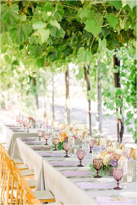 Wine Vineyard Wedding, Signature Cocktail Drinks, Healdsburg Wedding, Upstate Ny Wedding, Sonoma Wedding, Napa Wedding, Wedding Wine, Wine Country Wedding, Northern California Wedding