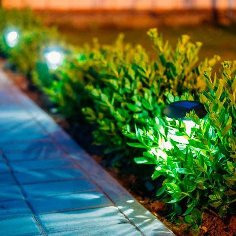 Go Low Voltage Landscape Lighting Ideas, Low Voltage Landscape Lighting, Holiday Lights Outdoor, Driveway Lighting, Outdoor Party Lighting, Umbrella Lights, Floating Lights, Backyard Bar, Backyard Lighting