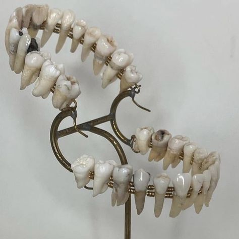 Chipped Teeth Aesthetic, Jewelry Made Of Teeth, Human Teeth Reference, Jewelry Made From Teeth, Types Of Teeth Shapes, Messed Up Teeth, Tooth Sculpture, Teeth Photography, Clay Teeth