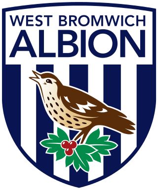 West Bromwich Albion, Football Team Logos, West Brom, Club Badge, West Bromwich, European Football, Football Logo, In God We Trust, Football Fans