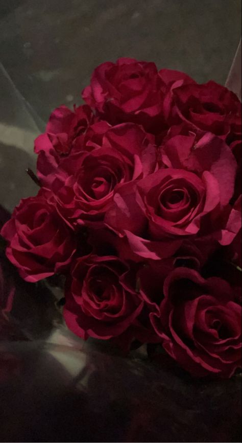 Hot Pink Roses Aesthetic, Pink Roses Aesthetic Wallpaper, Pink Roses Aesthetic, Dark Pink Aesthetic, Bright Roses, Dark Pink Roses, Dark Pink Flowers, Hot Pink Roses, Blue Aesthetic Pastel