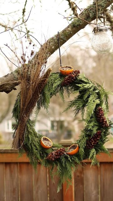 Katie McGinn | Garden Coach & Wildcrafter on Instagram: "Winter is a critical time of year for a bird’s survival. Their normal sources of food, such as insects, berries and seeds are scarce. And they spend more of their precious energy resources searching for food. Let’s support our feathered friends this winter and create a bird feeder wreath that is not only beautiful, but also serves as a source of nutritious food. Some notes on how I made my wreath: • If you still have your Christmas tree or a garland, you can reuse the branches from either! I made mine using a garland I deconstructed. This is a great way to use what you already have. But if you don’t, you can always forage for branches nearby. • Make sure to use 100% natural peanut butter. Some peanut butters have added ingredients Christmas Bird Feeder, Christmas Foraging, Bird Seed Wreaths, Bird Feed Christmas Ornaments, Bird Seed Wreath Recipe, Birdseed Wreath, Winter Bird Feeders, Feeding Birds In Winter, Nutritious Food