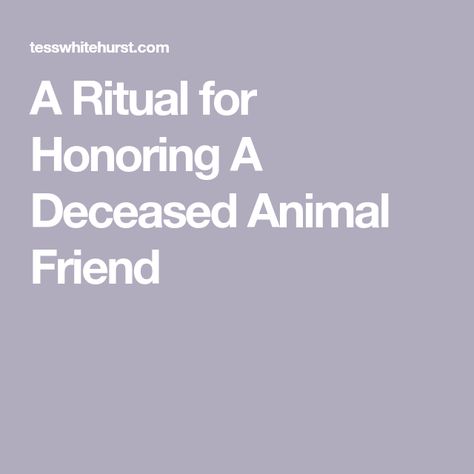 Spell To Talk To Animals, Pet Farewell Ritual, Doggie Cake, Dog Passing, Animal Poems, Witchy Business, Wiccan Rituals, Goodbye Quotes, Dog Poems