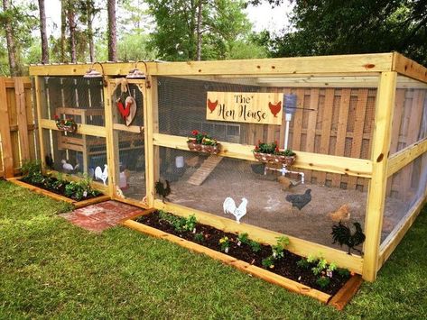 Enclosed Chicken Run Ideas, Square Chicken Coop, Chicken Coop Enclosure, Outdoor Chicken Run Ideas, Chicken Pens Ideas, Pretty Chicken Coop, Chicken House Ideas, Cute Chicken Coops, Chicken Coop Garden