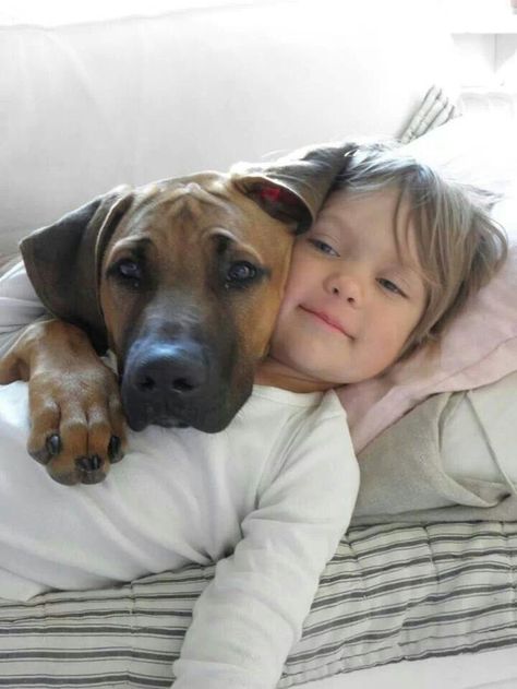 Aww ♡... re-pin by www.StoneArtUSA.com ~ affordable custom pet memorials for everyone. Love My Dog, Rhodesian Ridgeback, Dogs And Kids, Animal Friends, 인물 사진, Sweet Animals, Mans Best Friend, Baby Baby, Animals Friends