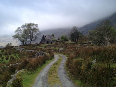 Winding Irish Country Roads : Carla Neggers Hiking In Ireland, Seaside Homes, Ireland Aesthetic, Background References, Halloween Wallpaper Iphone Backgrounds, Laptops And Tablets, Irish Country, Movie Making, Irish Countryside