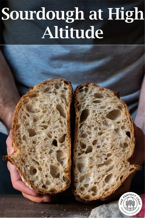 My guide to baking sourdough bread at high altitude. Change baking times, temperatures, hydration, and other things to ensure your loaves rise high taste delicious. #sourdough #bread #baking #altitude #highelevation Dutch Oven Sourdough Bread Recipe, Fall Bread Recipes, High Altitude Baking, Fall Baking Recipes, Country Bread, Homemade Sourdough Bread, Sourdough Starter Recipe, Sourdough Baking, Sourdough Bread Recipe