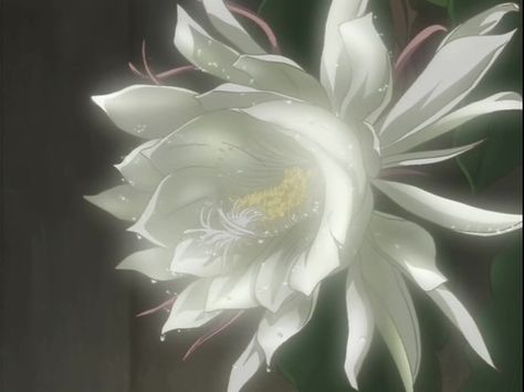 Chasing Flowers - Wolf's Rain and Romanticism - Anime News Network Lunar Flowers, Rain Tattoo, Wolf's Rain, Wolf’s Rain, No Rain No Flowers, Guiding Light, Japanese Tattoo Art, Anime Wolf, Stuff And Thangs