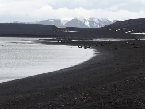 Deception Island Antarctica | Oceanwide Expeditions Deception Island Antarctica, Deception Island, South Georgia Island, Penguin Species, Alaska Trip, Falkland Islands, Shetland Islands, South Georgia, Active Volcano