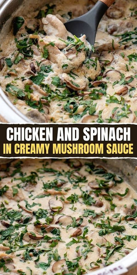 Chicken and Spinach in Creamy Mushroom Sauce Creamy Chicken Spinach Mushroom Recipes, Creamy Spinach Mushroom Chicken, Chicken Spinach And Mushroom Recipes, Chicken Mushrooms Spinach Recipes, Spinach Mushroom Chicken, Chicken Spinach Mushroom, Chicken And Spinach Casserole, Easy Spinach Recipes, Everyday Desserts