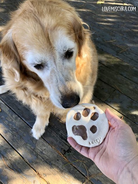 Dog Ornaments Diy, Diy Paw Print, Paw Print Keepsake, Home And Family Crafts, Diy Cinnamon, Paw Ornament, Paw Print Ornament, Salt Dough Ornaments, Dough Ornaments