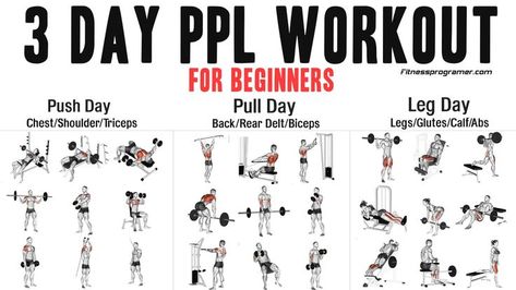 The 3-day PPL workout routine for beginners is a popular method for building strength, muscle, and foundation. This method targets specific muscle groups while allowing them adequate recovery time by dividing workouts into push, pull, and leg days. It is preferred by both beginners and those with a busy schedule due to its simplicity and effectiveness.Previously, I shared a detailed post on the basics of a PPL workout routine, explaining why this workout is so effective. If you’re not fa... Ppl Workout Routine, Push Pull Legs Workout, Workout Routine For Beginners, Push Day Workout, Pull Day Workout, Personal Trainer Website, Leg And Ab Workout, Leg Days, Tricep Pushdown