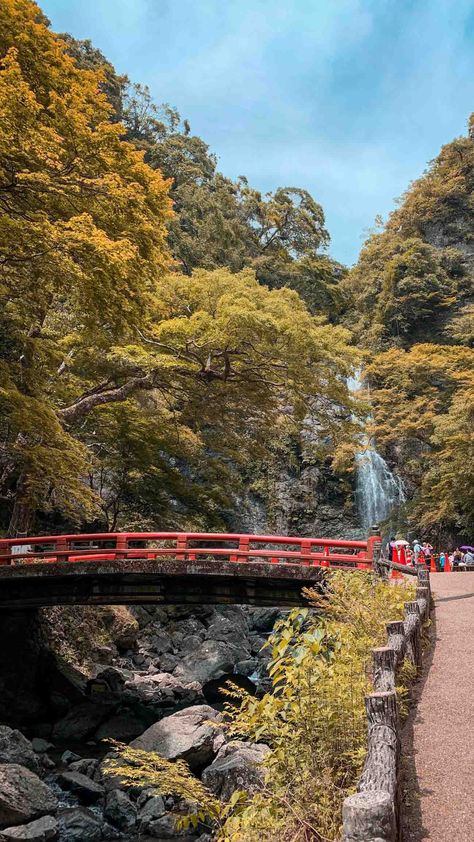 The 10 Best Day Trips From Osaka You Should Definitely Try! Japan Bridge, Bridge Images, Bridge Pictures, Most Instagrammable Places, Wakayama, Instagrammable Places, Osaka Japan, Island Resort, Amazing Day