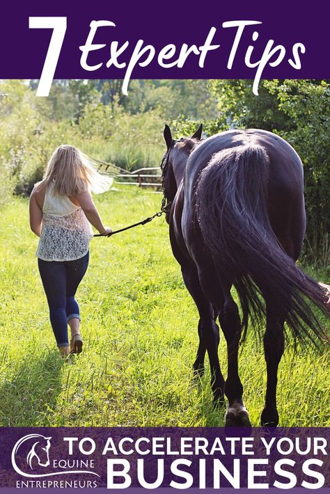 You've started a basic equine business, but now what? How do you know what to do to accelerate your business? You click thru to read these 7 amazing small business tips from an award winning equestrian business owner to learn how she scaled her horse business!! Run your business like a pro! #horsebusinesstips #successfulbusinessowner #businesstips #scaleyourbusiness Horse Business, List Of Careers, Tips For Moving, Newsletter Ideas, Successful Business Owner, Business Email, Horse Boarding, Email List Building, Building Tips