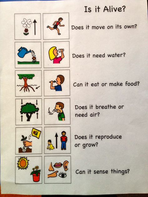 This is an example of a useful chart that children can reference when determining if something is alive. It lists the characteristics of living things using words and pictures. This presentation format is helpful for students of different learning styles and ELL students because the chart uses two forms of communication. This would be useful to describe the basic needs of living things. Living Things And Non Living Things, Living Vs Non Living, Animals Classification, Science Pictures, Characteristics Of Living Things, Plants Kindergarten, Living And Nonliving, 1st Grade Science, First Grade Science