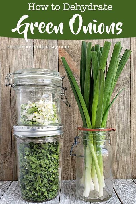 Drying Scallions, Preserving Scallions, Dehydrating Green Onions, Drying Green Onions, How To Dehydrate Herbs, Dehydrating Onions In Dehydrator, Dehydrating Herbs In Dehydrator, Pickled Green Onions Recipe, Dehydrate Herbs