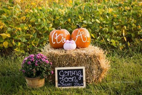 Sep 14, 2020 - Outdoors | 5 Tips When Throwing a Festive Fall Baby Shower | Baby Aspen Shower Paint, Baby Reveal Pictures, Fall Baby Announcement, Pumpkin Gender Reveal, Gender Announcement, Halloween Gender Reveal, Fall Pregnancy, Baby Boy Announcement, Gender Party