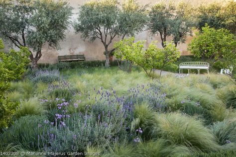 Marianne Majerus Garden, Convent Garden, Mediterranean Garden Design, Habitat Garden, Australian Native Garden, Front Garden Landscape, Modern Mediterranean, Minimalist Garden, Hillside Landscaping