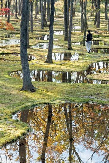 Reminds me of the magicians nephew  Water Garden by Junya Ishigami | 2018-12-07 | Architectural Record Junya Ishigami, Landscape Gardening, Garden Types, Landscaping Supplies, Garden Architecture, Landscape Plans, Landscaping Tips, Landscape Projects, Desert Landscaping