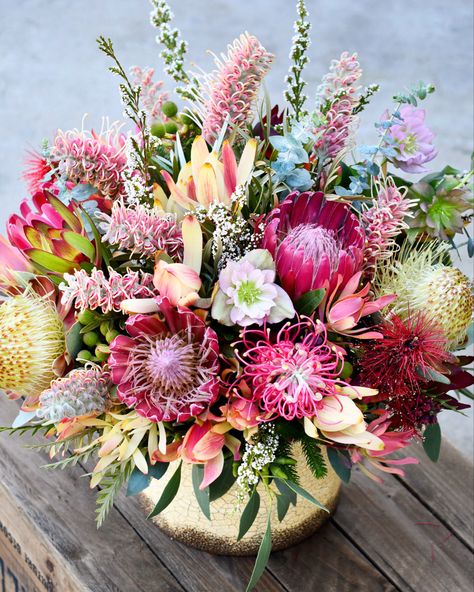 Fynbos Bouquet, Protea Arrangements, Flower Centrepiece, Australian Native Flowers, Creative Flower Arrangements, Australian Native, Flower Ideas, Flower Bouquets, Painting Photos