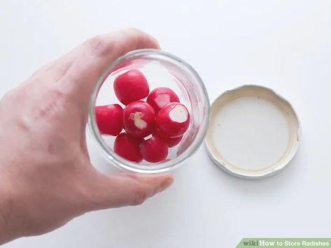 How To Can Radishes, How To Eat Radishes, Radish Storage, How To Store Radishes In Fridge, Storing Radishes, Storing Radishes In Fridge, Store Radishes In Fridge, How To Store Radishes Long Term, How To Store Radishes