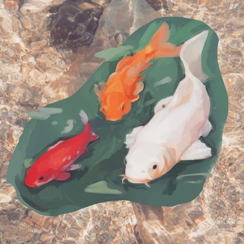 Koi Fish Anatomy, Rough Painting, Fish Anatomy, Gcse Art, Koi Fish, Fantasy Character Design, Koi, Fish Pet, Anatomy