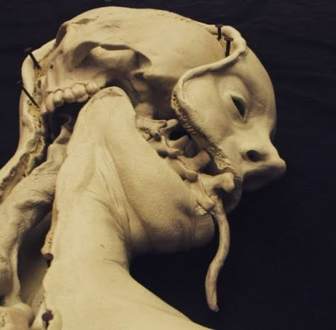 Emil Melmoth, Body Horror, 다크 판타지, Creepy Art, Ap Art, Anatomy Art, Horror Art, Dark Fantasy Art, Art Reference Photos