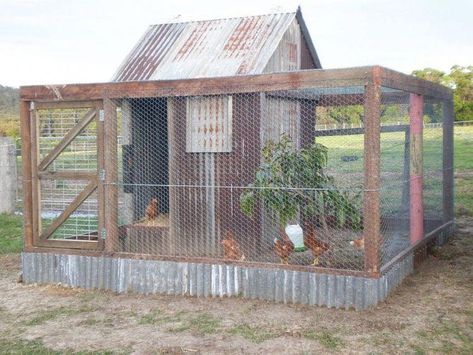 Vege Patch, Chook Pen, Chicken Shed, Portable Chicken Coop, Chicken Pen, Backyard Chicken Coop Plans, Chicken Coup, Backyard Farm, Diy Chicken Coop Plans