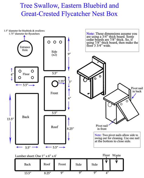 How to make a home for Blue Birds of Maryland  http://www.dnr.state.md.us/wildlife/Habitat/WildAcres/wabluebird.asp Bluebird House Plans, Blue Bird House, Bluebird Nest, Bird House Plans Free, Bluebird House, Bird House Feeder, Nest Box, Bird House Plans, Bird House Kits