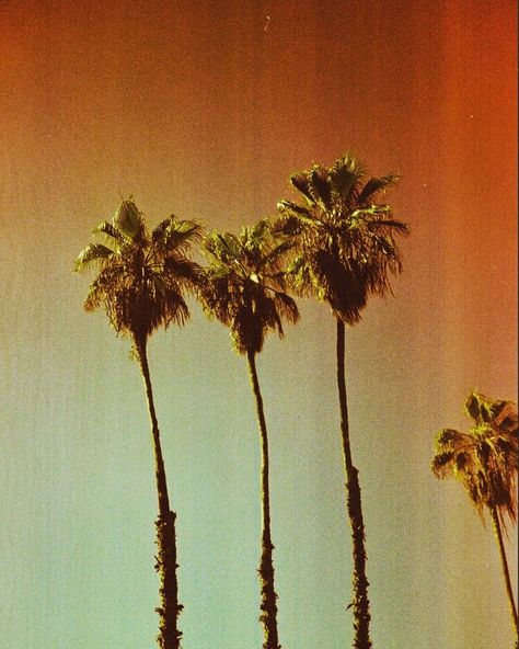 80s Orange Aesthetic, 90s Aesthetic Vintage, Orange 80s Aesthetic, 1970s Orange Aesthetic, 70s Beach Aesthetic, 80s Beach, Tropical Orange Aesthetic, 1970s Beach, Vintage Hippie Aesthetic Wallpaper Orange