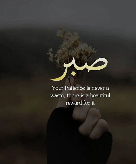 Tawakkul Quotes, Patience Islam, Istikhara Dua, Sensible Quotes, Life Knowledge, Ramadan Kareem Pictures, Mobile Girl, Allah Loves You, Sunset Quotes Instagram