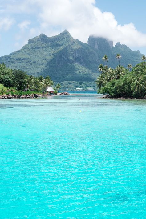 Fiji Islands Photography, First Marriage Anniversary, Moorea Tahiti, Maldives Wedding, All Shades Of Blue, Bora Bora Island, Bora Bora Honeymoon, Calming Images, Bora Bora Resorts