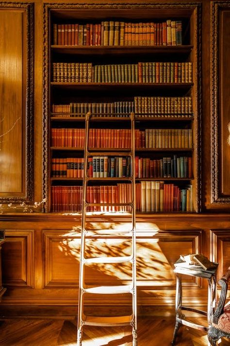 View of a Ladder Standing next to a Bookshelf in an Old Library · Free Stock Photo Library With Ladder, Shelves Books, Antique Bookshelf, Bedroom Library, Ladder Stands, Antique Shelves, Classic Library, Library Ladder, Old Library