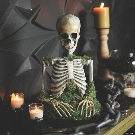 9 3/4" x 14 3/4" Mossy Skeleton Tabletop Animated Prop Halloween Decoration | Oriental Trading Mossy Skeleton, House Room Design, Halloween Yard Props, Elegant Halloween Decor, Halloween Themes Decorations, Halloween Living Room, Halloween Decor Diy, Halloween Express, Elegant Halloween