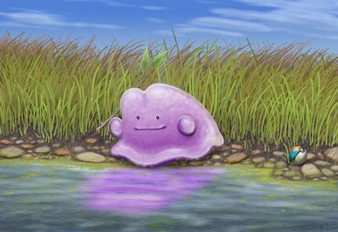 Ditto Pokemon Ditto Art, Ditto Pokemon, Pokemon Ditto, Pokemon Rpg, Cool Pokemon Cards, Pokemon Official, Pokemon Craft, Pokemon Gif, Pokemon Universe