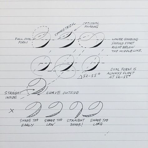 CALLIGRAPHY EVERYDAY — I would like to share with you a part of my new... Spencerian Script, Flourish Calligraphy, Calligraphy Fonts Alphabet, Calligraphy Worksheet, Pointed Pen Calligraphy, Calligraphy Lessons, Calligraphy Tutorial, Hand Lettering Practice, Copperplate Calligraphy