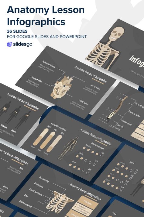 Powerpoint Templates Free Download, Science Powerpoint, Ppt Template Design, Anatomy Lessons, Presentation Slides Design, Powerpoint Slide Designs, Slides Design, Business Presentation Templates, Medical School Inspiration