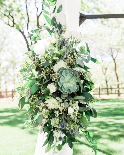 Succulent echeveria, white dahlia, queen annes lace,  roses and greenery are wrapped around white draping to create the perfect arbor for… Wedding Backdrop Lights, Greenery Wedding Centerpieces, Bouquets Ideas, Greenery Wedding Bouquet, Succulent Bouquet Wedding, Arizona Gardening, Rustic Wedding Backdrops, Blue Succulents, Cheap Wedding Flowers