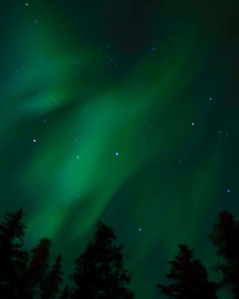 Green Aurora Aesthetic, Aurora Borealis Green Taylor Swift, Aurora Borealis Aesthetic, Aurora Borealis Green, Green Inspo, Northern Lights Photography, Green Aesthetics, Green Aurora Borealis, Green Preppy