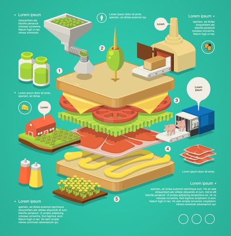 Food Infographic Design, Good Illustration, Infographic Inspiration, Data Visualization Design, Food Infographic, Infographic Poster, Vector Infographic, Infographic Illustration, Cooking 101