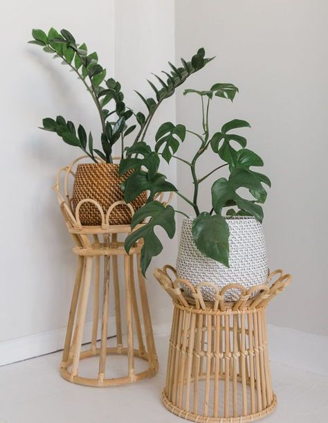 The Solis stand is a bohemian dream! Arched rattan detailing gives your plants the spotlight they deserve in any space. Need something a bit smaller? Viridi just launched the Stella stand — its little sister! | Photographer: Rachelle Tavas Plant Stand Boho, Boho Potted Plants, Plant Stand Monstera, Diy Boho Plant Stand, Monstera Plant Stand, Zz Plant Decor, Boho Plant Pots, Boho Planters, Boho Plant Stand