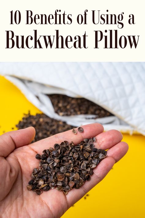 What are the benefits of using a buckwheat pillow? #buckwheat #buckwheatpillow #pillow Japanese Buckwheat Pillow, Buckwheat Benefits, Healthy Practices, Buckwheat Pillow, Energy Drink, Needle Arts, Natural Energy, Buckwheat, Health Matters