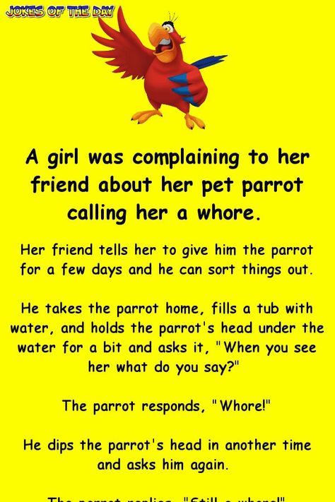 Dirty Joke Comic, Funny Jokes To Tell Humor Friends, Crude Humor, Jokes Of The Day, Pet Parrot, Husband Jokes, Missing Quotes, Women Jokes, Parrot Head