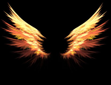 Different Emojis, Wings Png, Wings Wallpaper, Certificate Background, Wing Tattoo Designs, Wing Tattoo, Wings Tattoo, Dragon Wings, Wings Of Fire